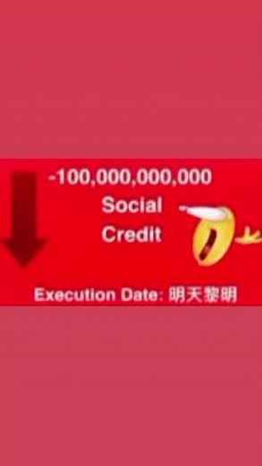 Understanding Social Credit Score and Memes