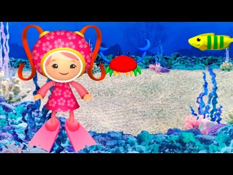 team UMIZOOMI aquarium adventure