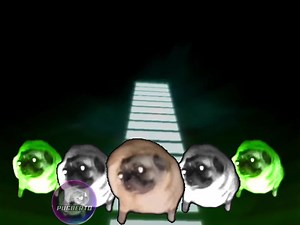 46K views · 2.7K reactions | "Digimon Theme" Digimon [NA ver.](2000) | Pugberto Dancing Multiverse | Facebook