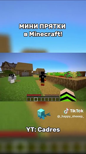 Minecraft Mini Hide-and-Seek with Cadres
