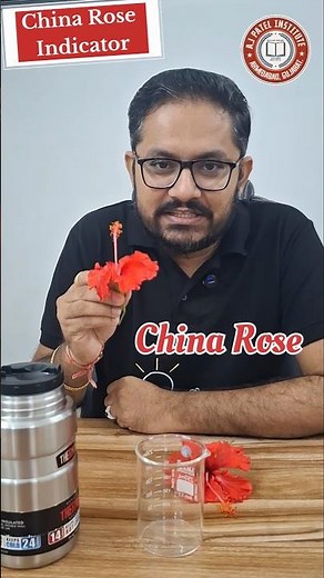 "How to Make China Rose 🌹 Indicator at Home 🧪 #ScienceExperiment #science #diy #experiment
