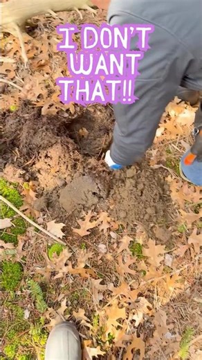 I don’t want that!! #metaldetecting #treasurehunting #equinox900 #wife