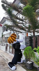 Ninakawan siya ng Raccoon 😨 #roblox | Junell Dominic