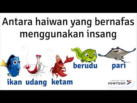 SAINS TAHUN 4: Organ pernafasan haiwan