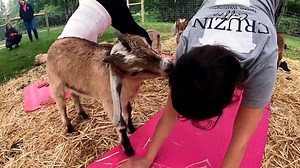 Wild workouts: 5 weird ways to get fit without a traditional gym