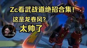 【Zc/动画】Zc看武战道绝招合集！急先锋，龙卷风大招这么帅！猛虎王，暴龙神压迫感拉满！