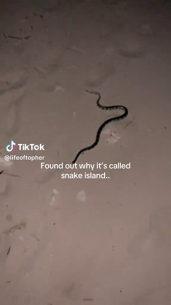 Exploring Snake Island's Unique Shape and History