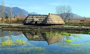 31K views · 1.6K reactions | Oplontis, Antiquarium e Villa Regina a Boscoreale, Villa San Marco e Villa Arianna a Stabia, il Parco Archeologico naturalistico di Longola. I siti minori del Parco Archeologico di Pompei. | Pompeii - Parco Archeologico | Facebook