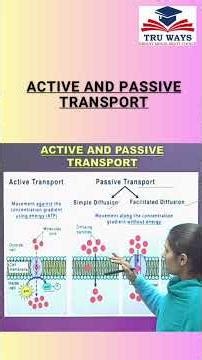 Active & Passive Transport | Cell Biology Made EasyUnderstand the difference between Active
