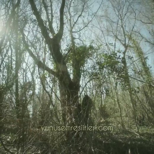 Beni sorman bana, bende değilim. Bir ben vardır bende, bende içeri. Yunus Emre (k.s) Yunus Emre "Severim Ben Seni Candan İçeri" Şiiri Yunus Emre 'Aşkın Yolculuğu' Dizisi | Yunus Emre