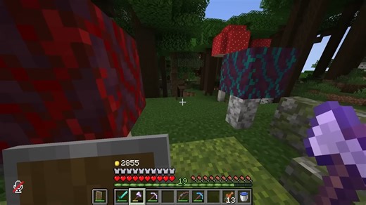 【生/SmallishBeans】The Starter Base! ｜ Misadventures SMP ｜ Ep.3