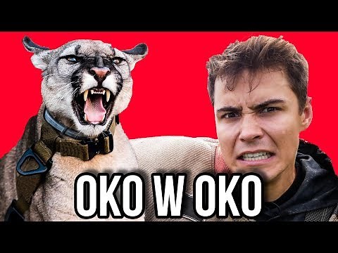 W KLATCE Z PUMĄ - REZI