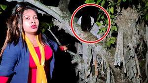 7.6K views · 223 reactions | Ghost  Hunting on Big Tree  | Ghost Hunter | Facebook