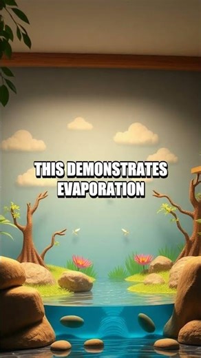 DIY Solar Still Home Science Experiment