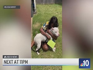 1.8K views · 16 reactions | TONIGHT on NBC10 News at 11: Officials...