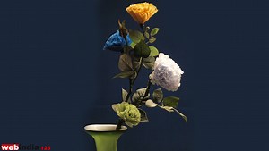 Polythene Bag Flower,how to make Polythene Bag Flower