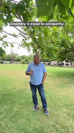 Greenery is equal to Prosperity. More the greenery, more the happiness. #trees #greenery #happiness #peepalbabasays | Peepal Baba