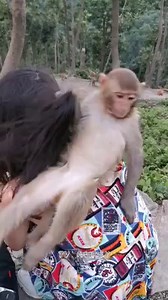 2.7M views · 2.2K reactions | Funny Monkey And Human | TV Monkey | Facebook