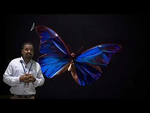 Interference of Light Explained with Stunning Real-Life Examples & Engineering Uses