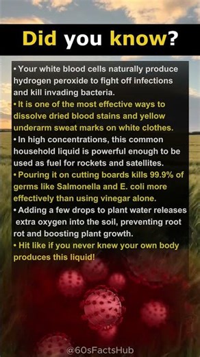 5 Incredible Uses for Hydrogen Peroxide You Probably Never Knew.