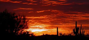 Bellero Estates by Elliott Homes