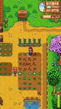 Watering Lots of Crops in Stardew Valley
