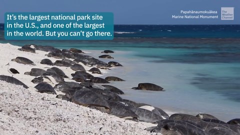It’s America’s Largest National Park, But You Can’t Visit