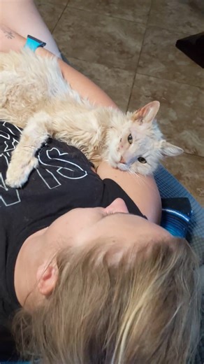 812K views · 10K reactions | Cat left on the street by his owners won't stop kissing his new mom on her nose  | The Dodo | Facebook