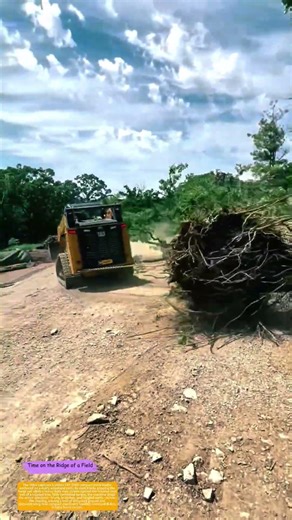 How a Compact Track Loader Uproots and Drags a Fallen Giant