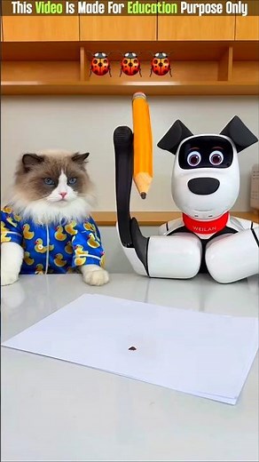 The Robot And Worm 😨| New Viral Gadgets, Smart Appliances, Kitchen Utensils/ Home Inventions