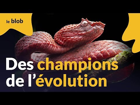D’où vient l’incroyable diversité des serpents ? | Actu de science