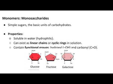 Carbohydrates & Lipids Explained | NEET Biology