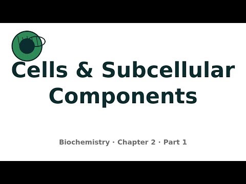 Chapter 2 Cells And Subcellular Components Of Biochemistry Part 3
