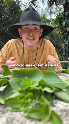 A CASA DE ZÉ | ESPIRITUALIDADE on Instagram: "Se a saudade não passa… se a mente repete o nome sem querer… se o peito pesa mesmo depois do fim… isso não é amor. É vínculo energético ativo. Tem conexão que segue mesmo depois do último abraço. Tem lembrança que não volta — mas continua vivendo dentro de você. Esse banho não é pra apagar história. É pra encerrar o laço invisível que ainda ocupa teu corpo, teu campo emocional e tua energia. Boldo: Aquieta pensamentos agitados, corta o excesso mental