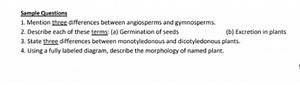 Mention three differences between angiosperms and gymnosperms.... | Filo