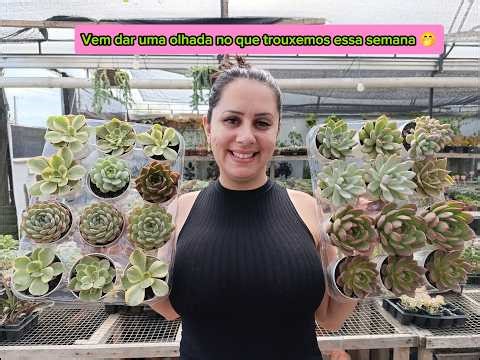 Live Tube, we are from Joinville, SC. ​​Many promotions, valid until 03/27/2026 or while supplies...
