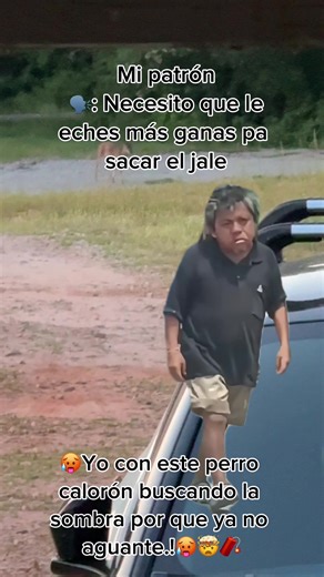 #Meme #MemeCut #viralvideotiktok #MemeCut #viral_video #follow