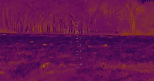 NEW YEAR. NEW GEAR. 🔥 This is your sign to bid. Our online-only Diamond K Armory auction is loaded with new & used firearms, ammo, accessories, and select NFA items — all closing soon. ⏰ Auction closes Sunday, January 18 📦 Consignor deadline: Thursday, January 14 Whether you’re buying, bidding, or consigning, this is one auction you don’t want to miss. Competitive bidding, nationwide shipping, and serious deals start right now. 👉 Bid here: DiamondKArmory.Hibid.com #DiamondKArmory #GunAuction 