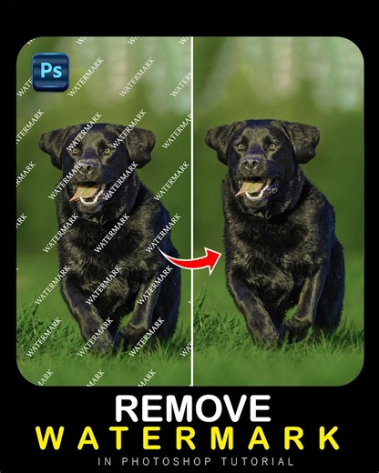 2M views · 12K reactions | how to remove watermarks from any image in adobe photoshop #graphicinfluence | Graphic Influence | Facebook