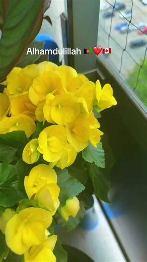 Spring Balcony Garden Ideas to Brighten Your Space