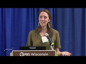 Preventing Bird-Window Collisions at Your Home | University Place