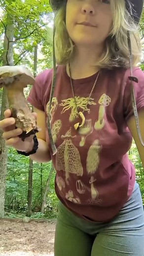 Teresa Mycelia on Instagram: "This was back when I first started living in my 4runner a couple years ago. 😌🍄 #4runner #mycology #mushroomidentification #vanlife #mushrooms #fungi #mushroomhunting #mushroom #youtuber #macrophotography #vanlifers #vanlifediaries #toyota"