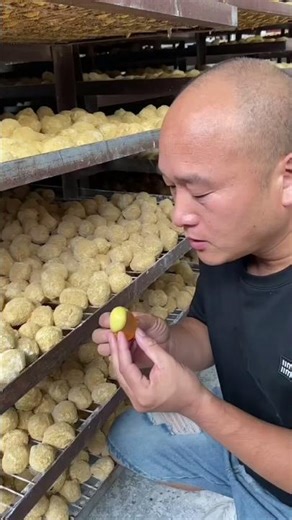 अकेले अकेले मुर्गी के अंडे खाया 😰~ mini wood toy- woodworking art skill/wood hand #shorts