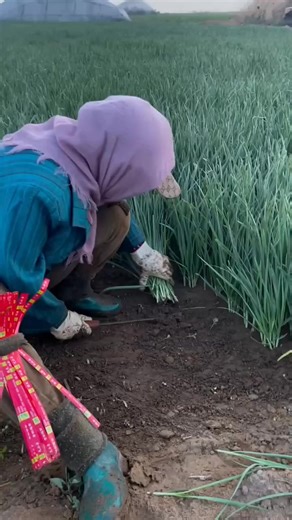 #foryou #foryou #md6969