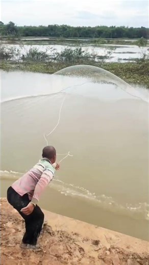 Watch the fisherman cast his nets. #videoshort #handfish #fishing #fishingequipment #fishingnets