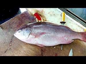 How to Take the Skin off Red Snapper | Amazing Fillet Skills | Easy and Fast