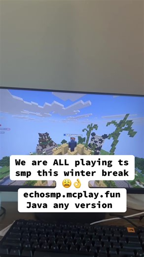We are ALL playing ts smp this winter break 😩👌 echosmp.mcplay.fun Java any version