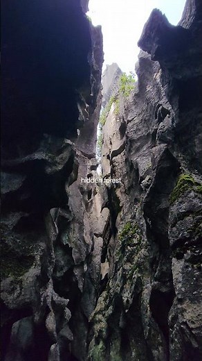 Stone forest- Kunming :UNESCO