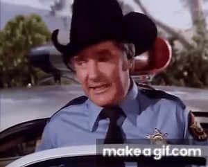 This is sheriff Rosco P. Coltrane! on Make a GIF