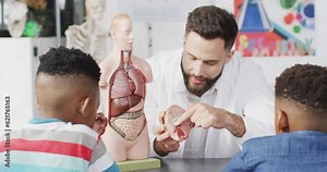 Diverse male teacher and happy schoolchildren studying model of human body in biology class